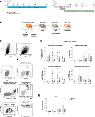 A Benchmark Side-by-Side Comparison of Two Well-Established Protocols for in vitro Hematopoietic Differentiation From Human Pluripotent Stem Cells